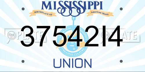 37542I4 Mississippi License Plate