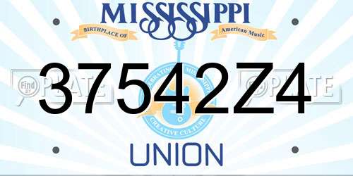 37542Z4 Mississippi License Plate