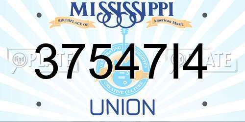 37547I4 Mississippi License Plate