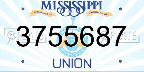3755687 Mississippi License Plate