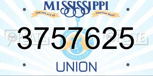 3757625 Mississippi License Plate
