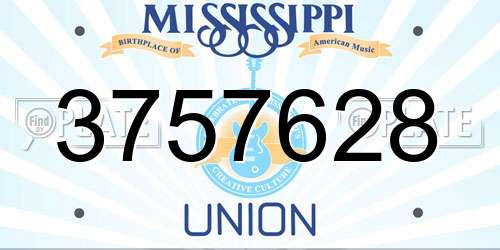 3757628 Mississippi License Plate