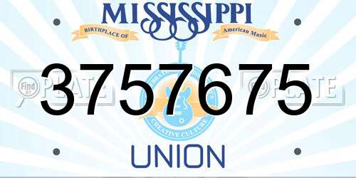 3757675 Mississippi License Plate