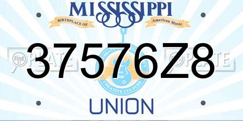 37576Z8 Mississippi License Plate