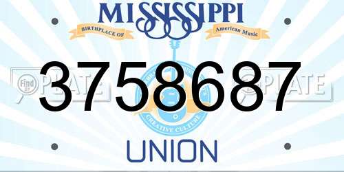 3758687 Mississippi License Plate