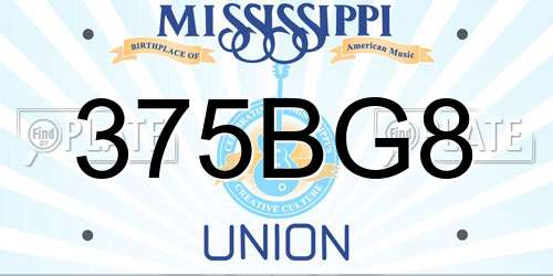 375BG8 Mississippi License Plate