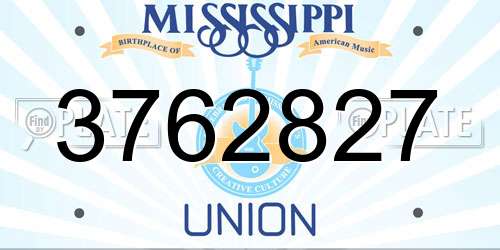 3762827 Mississippi License Plate