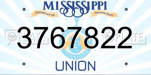 3767822 Mississippi License Plate