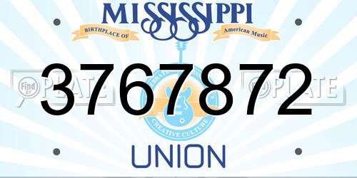 3767872 Mississippi License Plate