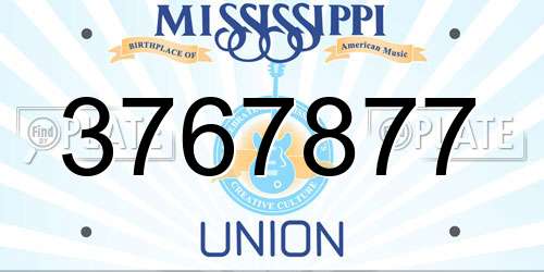 3767877 Mississippi License Plate