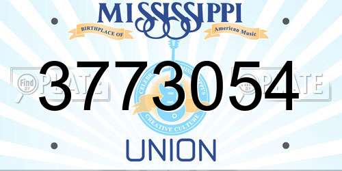 3773054 Mississippi License Plate