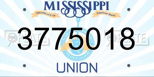 3775018 Mississippi License Plate