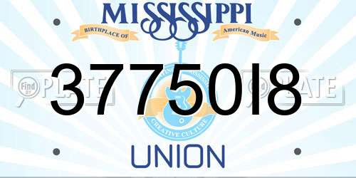 37750I8 Mississippi License Plate