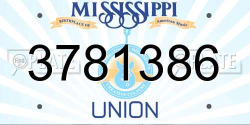 3781386 Mississippi License Plate