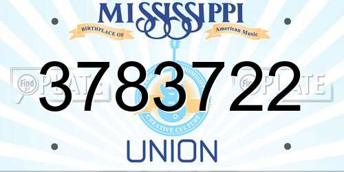 3783722 Mississippi License Plate