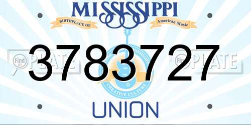3783727 Mississippi License Plate