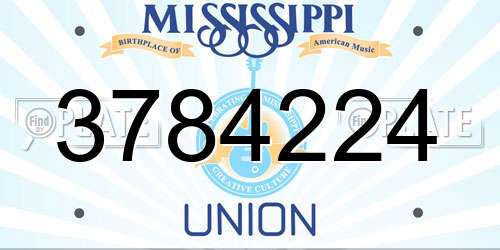 3784224 Mississippi License Plate