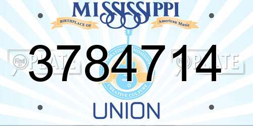 3784714 Mississippi License Plate