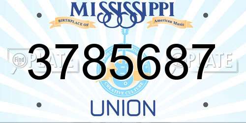 3785687 Mississippi License Plate