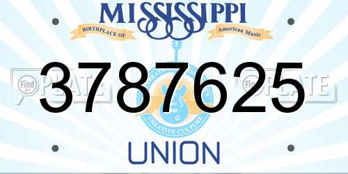 3787625 Mississippi License Plate