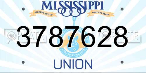 3787628 Mississippi License Plate