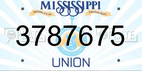 3787675 Mississippi License Plate