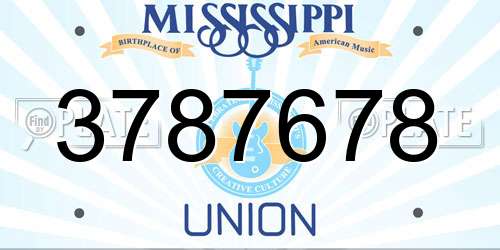 3787678 Mississippi License Plate