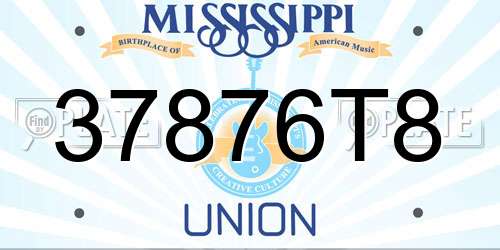 37876T8 Mississippi License Plate