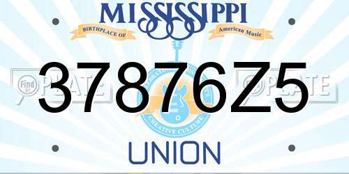 37876Z5 Mississippi License Plate