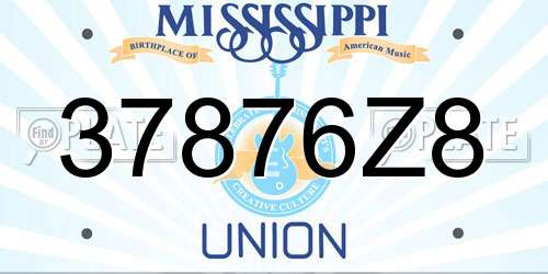 37876Z8 Mississippi License Plate