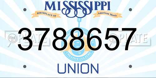 3788657 Mississippi License Plate