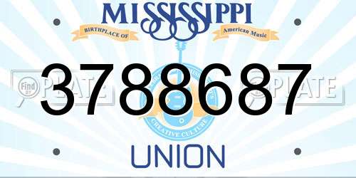3788687 Mississippi License Plate