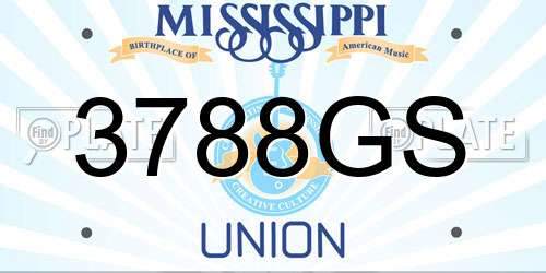 3788GS Mississippi License Plate