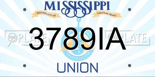 3789IA Mississippi License Plate