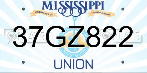 37GZ822 Mississippi License Plate