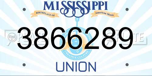 3866289 Mississippi License Plate