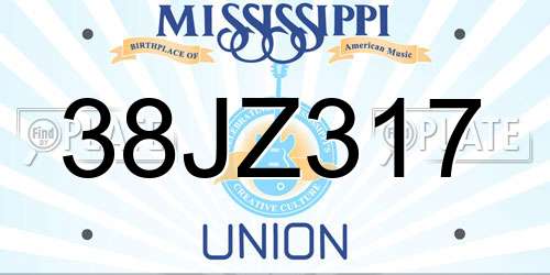 38JZ317 Mississippi License Plate