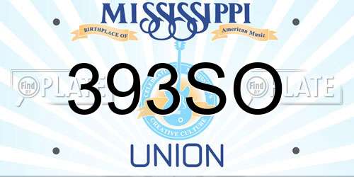 393SO Mississippi License Plate