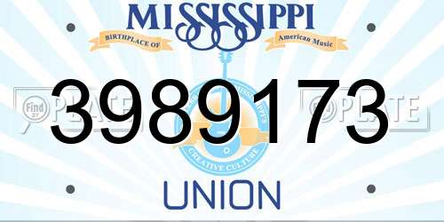 3989173 Mississippi License Plate