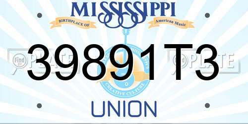 39891T3 Mississippi License Plate