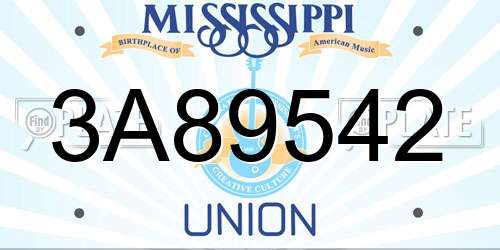 3A89542 Mississippi License Plate