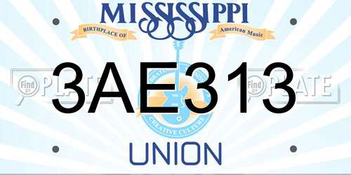 3AE313 Mississippi License Plate