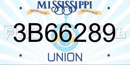 3B66289 Mississippi License Plate