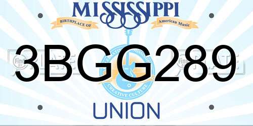 3BGG289 Mississippi License Plate