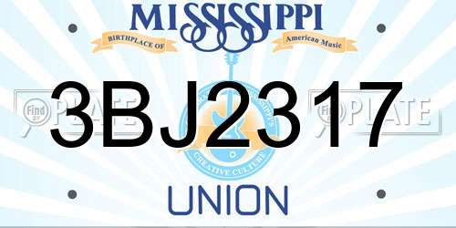 3BJ2317 Mississippi License Plate