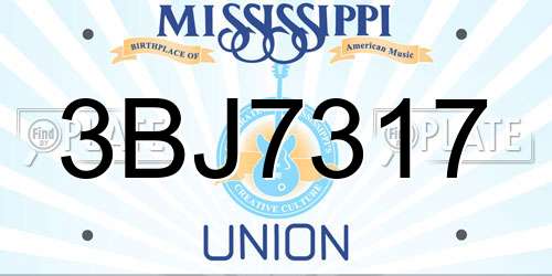3BJ7317 Mississippi License Plate