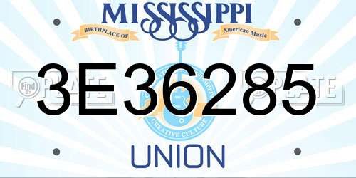 3E36285 Mississippi License Plate