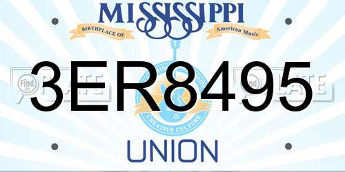 3ER8495 Mississippi License Plate