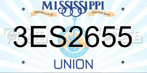 3ES2655 Mississippi License Plate