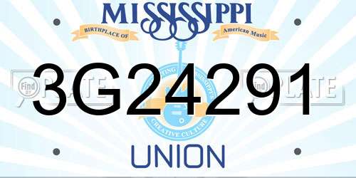 3G24291 Mississippi License Plate